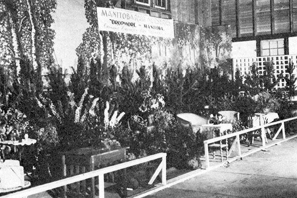 Hardy plant display