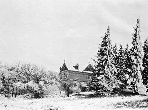 Towering evergreens were planted over eighty years ago.&nbsp;The house overlooks the Stoney&nbsp;Creek.