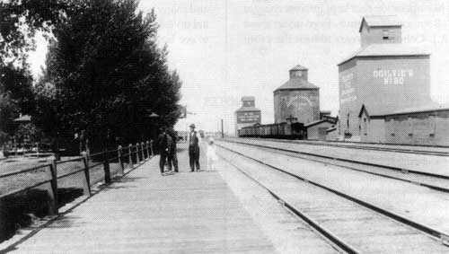 Elevators in Virden, 1920.&nbsp;Centre elevator is a 35,000 bushel capacity Manitoba Government Elevator and was originally a Virden Farmers' Elevator built circa 1903.