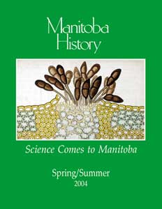 Hand-drawn illustration of a rust infection on wheat, used by Reginald Buller in his botany lectures at the University of Manitoba, circa 1915.