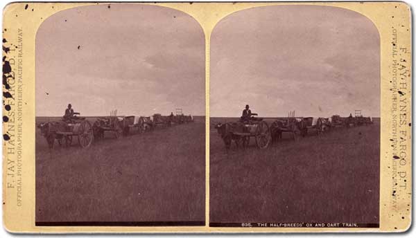 The Half-Breeds&rsquo; Ox and Cart Train