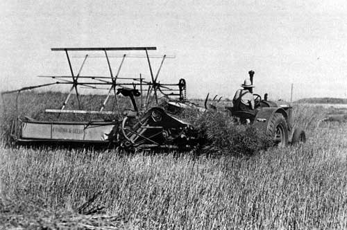 The Canadian Prairies: A History Gerald Friesen