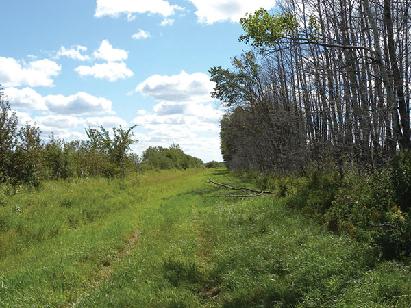 Looking toward the crime scene as it appeared in August 2010