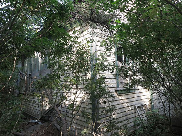 Grainfields School in the RM of Shell River is so encroached by caragana bushes that it is invisible from a nearby highway.