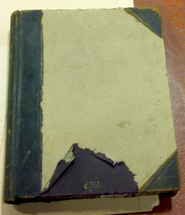 The Blasdale letter book