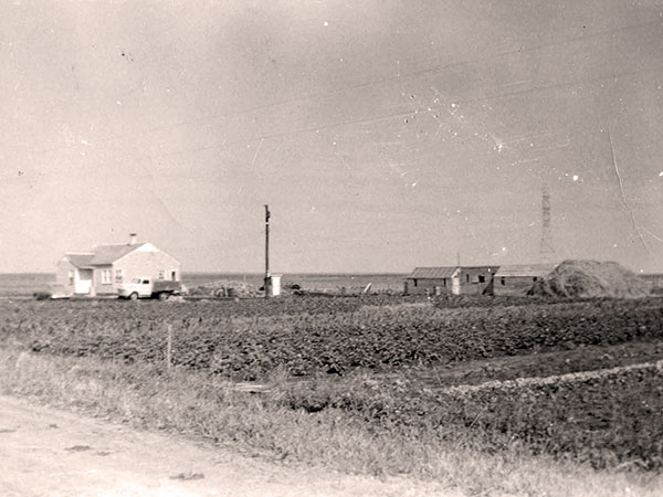 The Granger farm, 1955