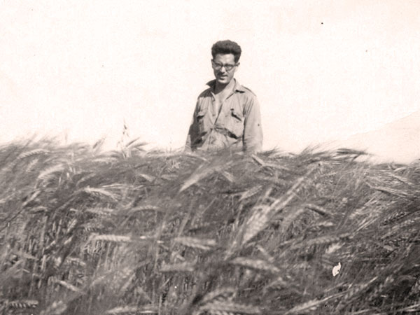 Hercule Granger (1925–1978) standing in his wheat crop