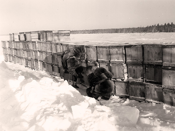 Jim Cumines and an assistant mark inspected boxes of fish at Reindeer Lake, March 1950.