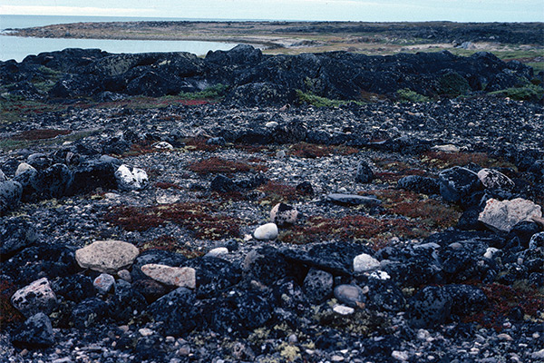 Tent ring site at Button Bay on the Churchill west peninsula, 1986. Inuit remains such as tent rings, kayak rests, cache sites and graves dot the west peninsula and demonstrate centuries of Indigenous use and occupation in the area.