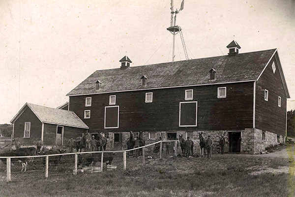 Boys tending horses and cattle around the Brandon Residential School’s barn, circa 1902.