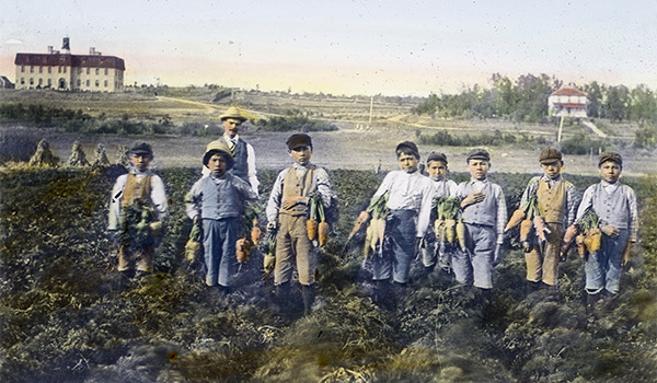 Boys with their instructor display the fruits of their labour in a carrot patch near the Brandon Residential School which is visible in the background left, circa 1902.