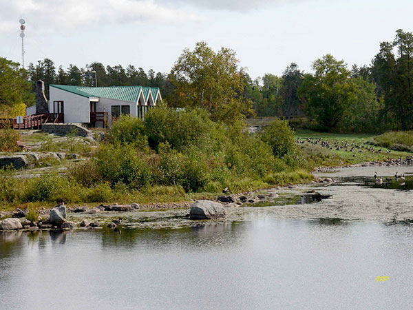 Alfred Hole Goose Sanctuary