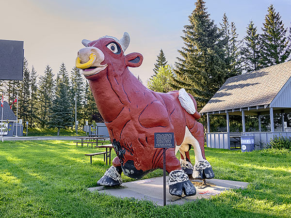 Arthur the Beef and Barley Bull`