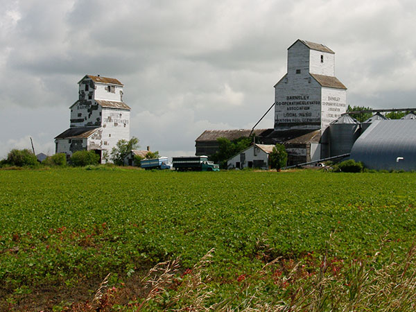 The Barnsley grain elevators with the Manitoba Pool elevator on the right