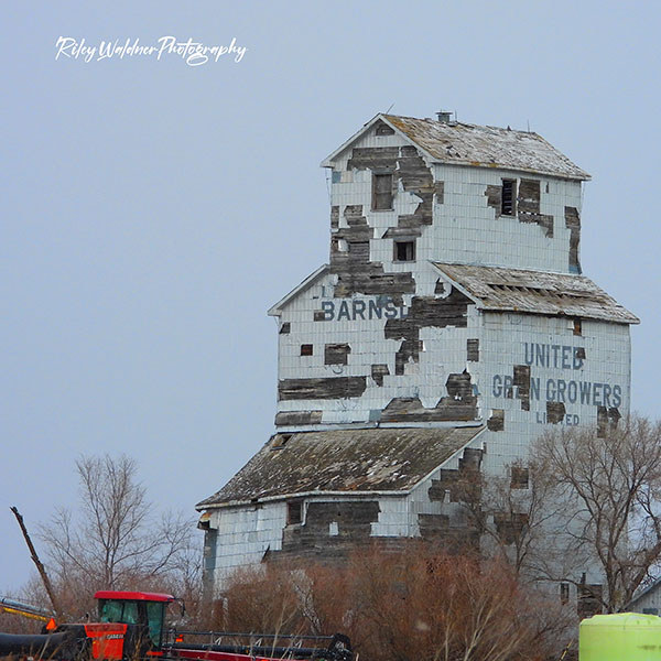 United Grain Growers grain elevator at Barnsley
