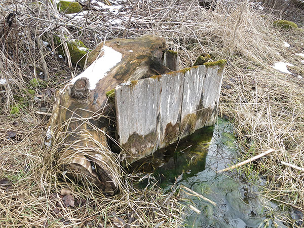 Site of the former Birtle Spring