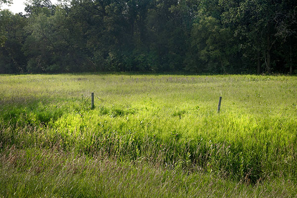 The former site of Boyne School