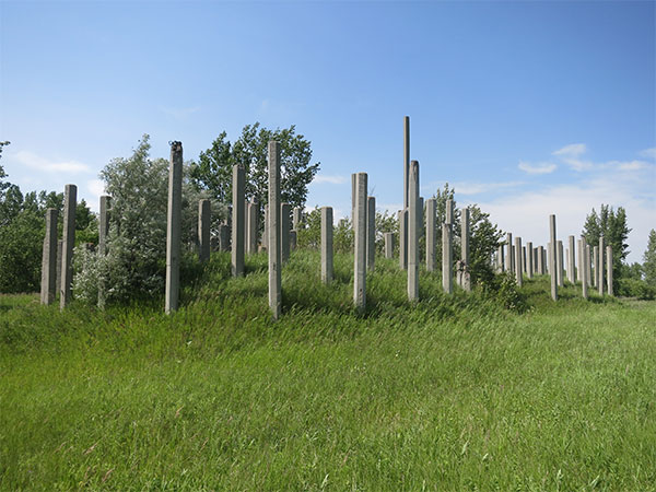 Concrete piles remaining from the abortive British-American cement plant