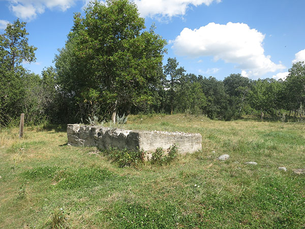 Concrete foundation for the former McCabe grain elevator at Bunclody