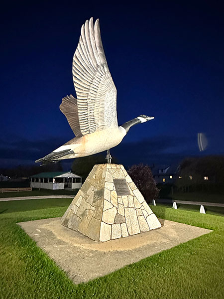Canada Goose monument