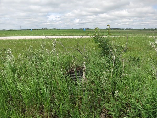 Well of the former Carn Ridge School