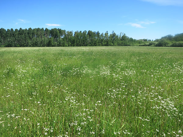 Former site of Christiana School