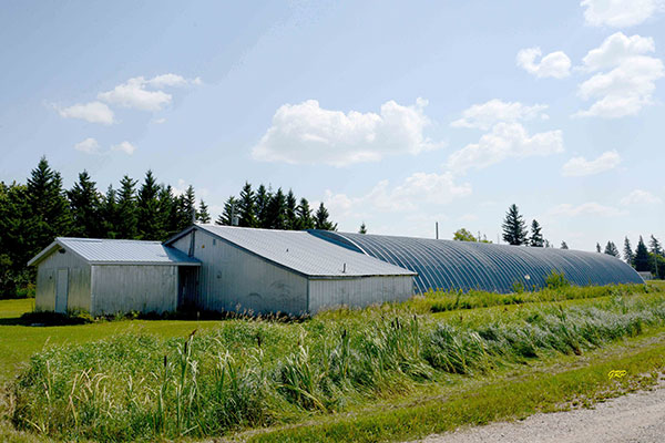 Clanwilliam Curling Rink