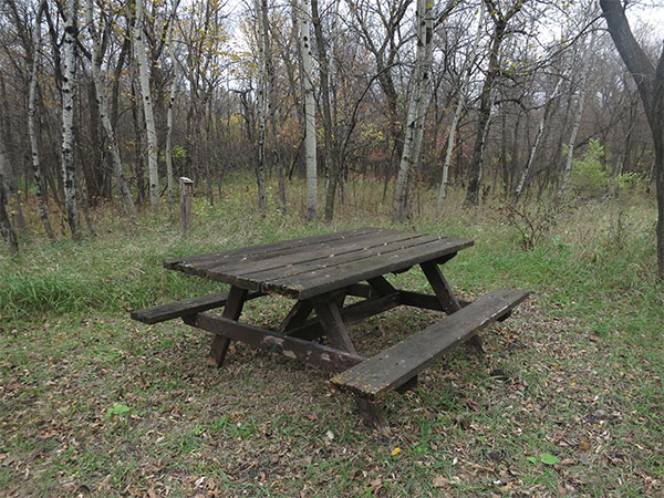 Picnic table with campsite marker in the background