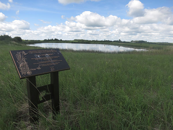 Cuthbert conservation commemorative monument