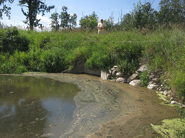 Concrete culvert bridge #916 over Sibbald Creek