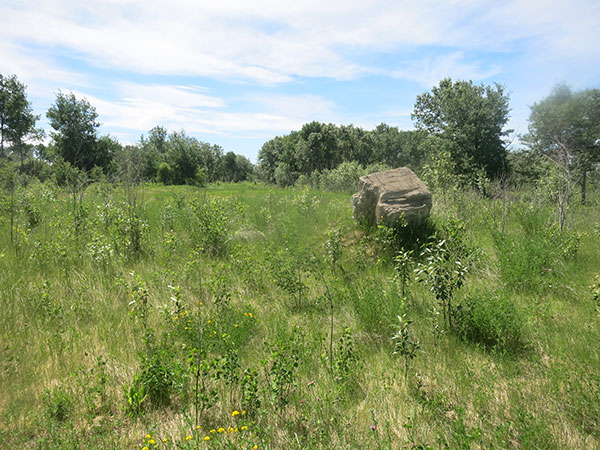 Former site of Darveau School