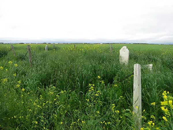 Dennison Family Cemetery