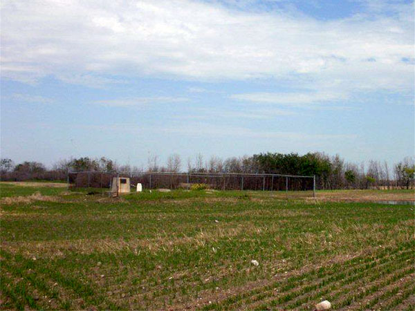 Diana Icelandic cemetery