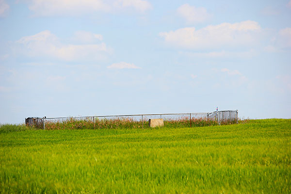 Diana Icelandic cemetery