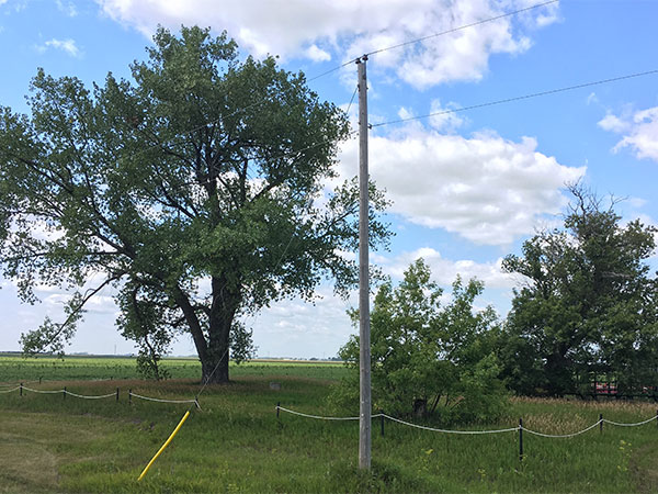 Driedger Burial Site