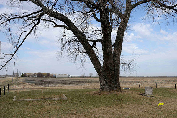 Driedger Burial Site