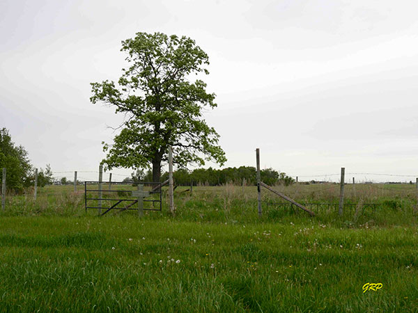 Eigenfeld Cemetery