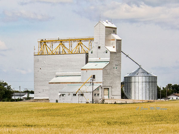 The former Agricore United grain elevator at Elgin