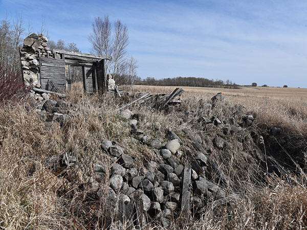 Remains of a stone house at the former Elphinstone Ranch