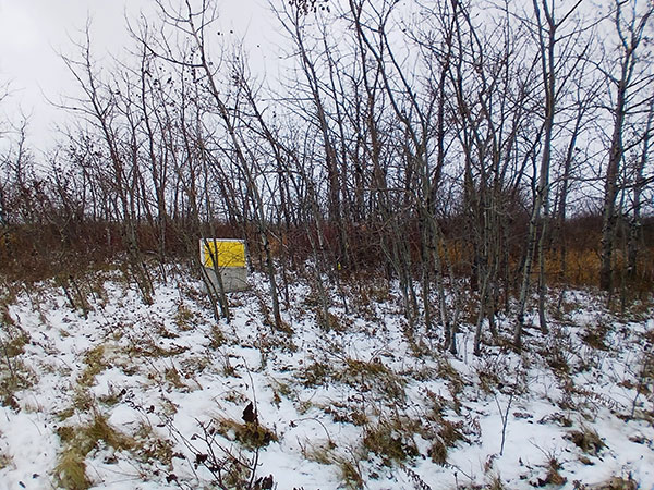 Flee Island Entrenchments commemorative plaque