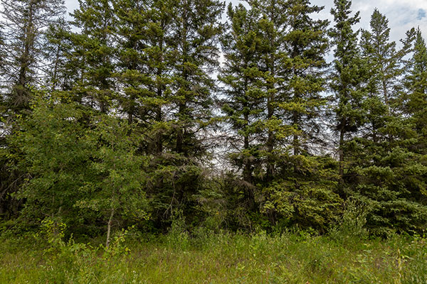 Former site of Fyrer School