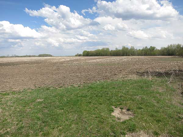 Former site of Gonta School