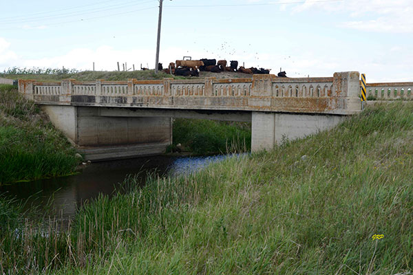 Concrete beam bridge no. 1351 over Graham Creek