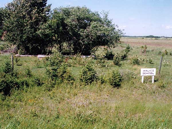Site of the former Halicz School