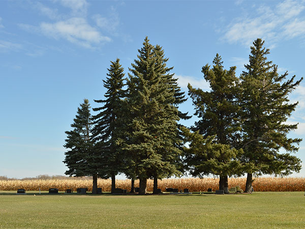 Herold Mennonite Cemetery