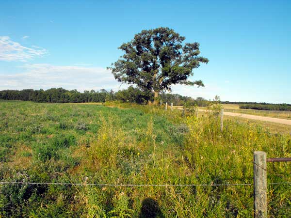 Site of the former Hill Head School