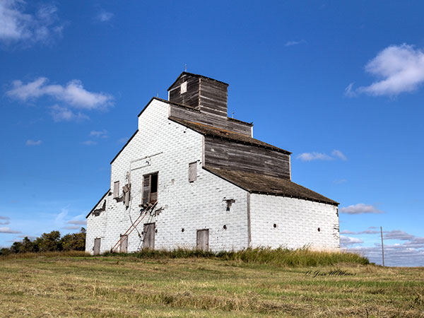 Hoffman family grain elevator and mill