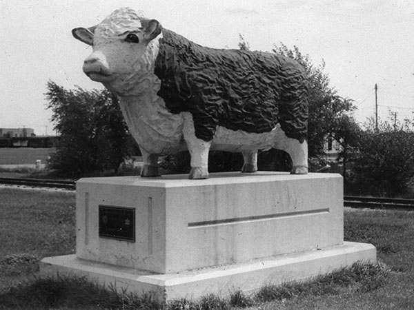 Statue of Hereford steer