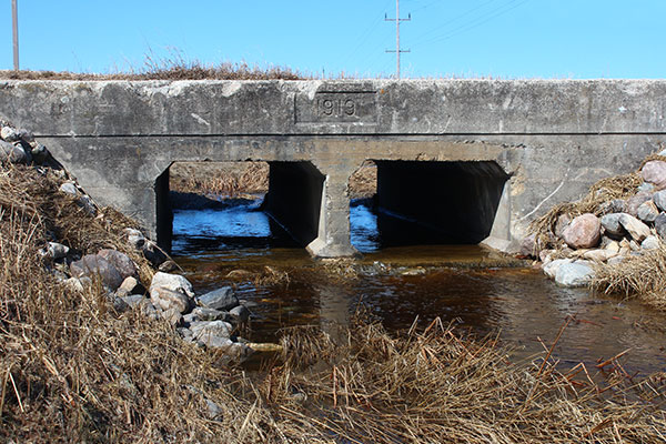 Two-cell concrete culvert bridge #508