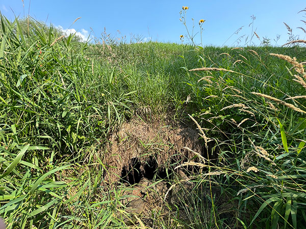 Concrete culvert bridge #480A on highway #26